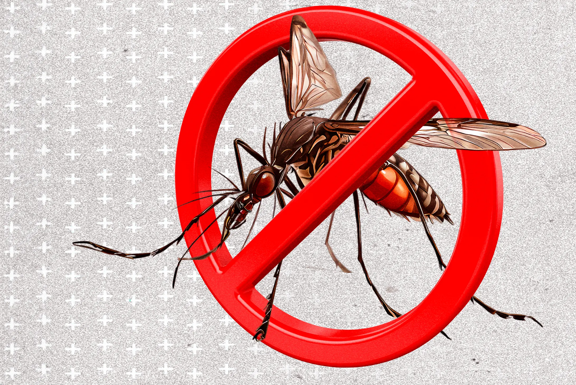 Manejo Integrado De Mosquitos