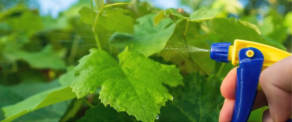 Control De Plagas En Cultivos Organicos